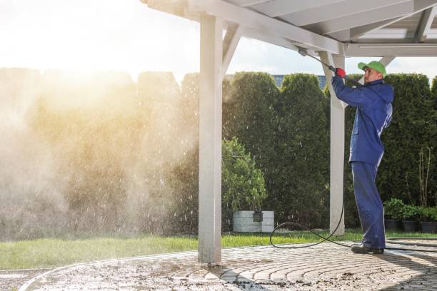 Best Pre-Holiday Cleaning  in Gustine, CA
